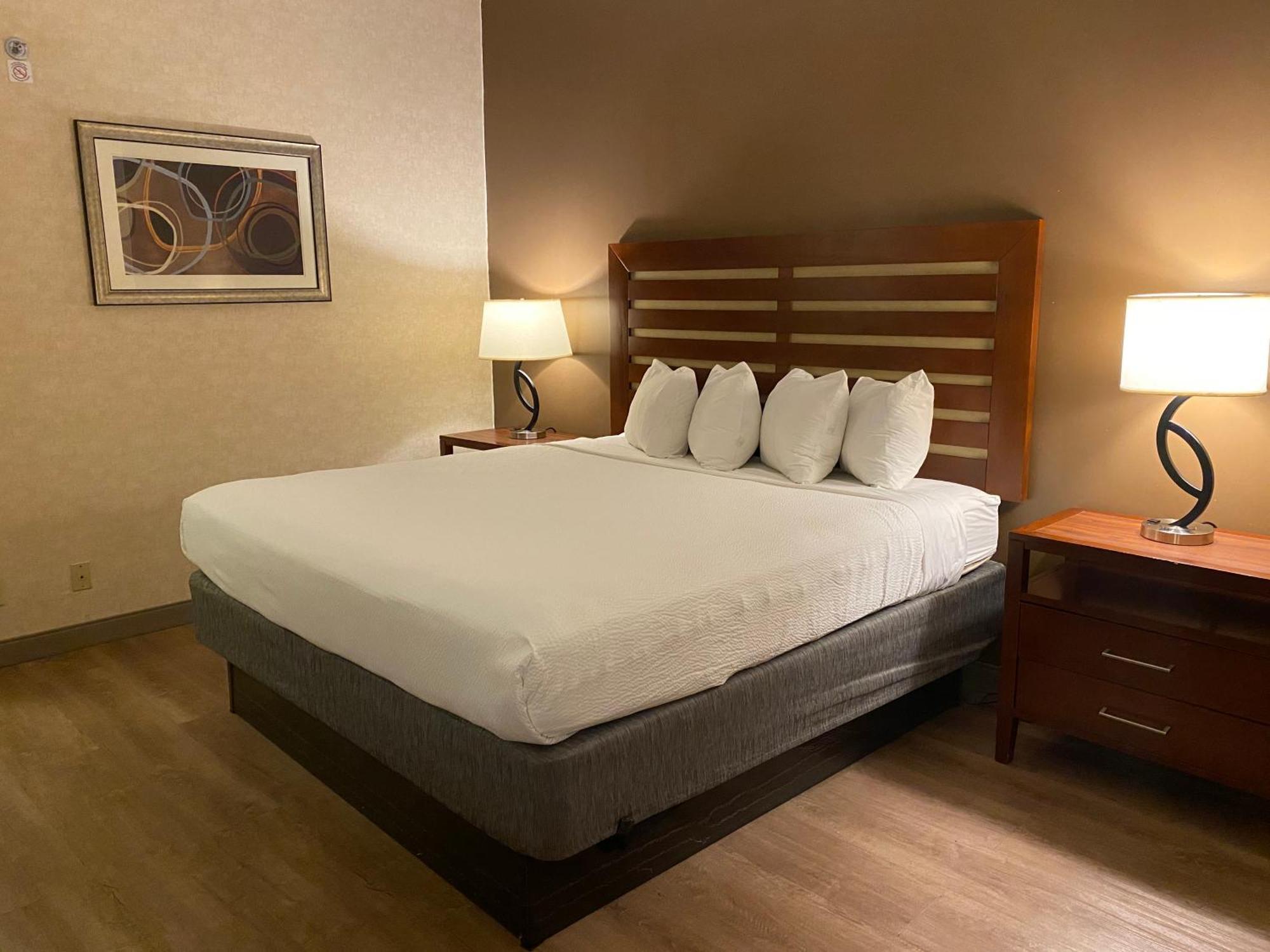Wyndham Garden Grand Rapids Airport Hotell Eksteriør bilde