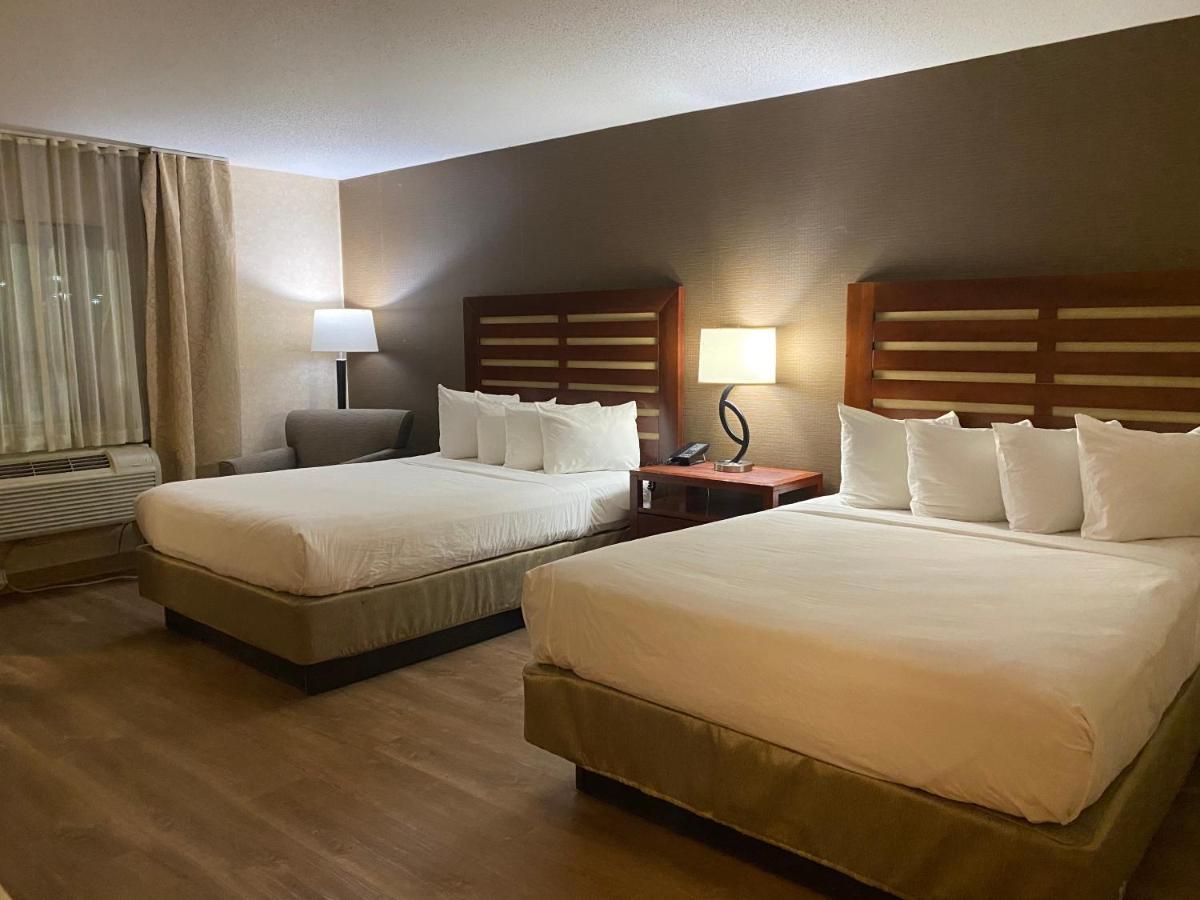 Wyndham Garden Grand Rapids Airport Hotell Eksteriør bilde