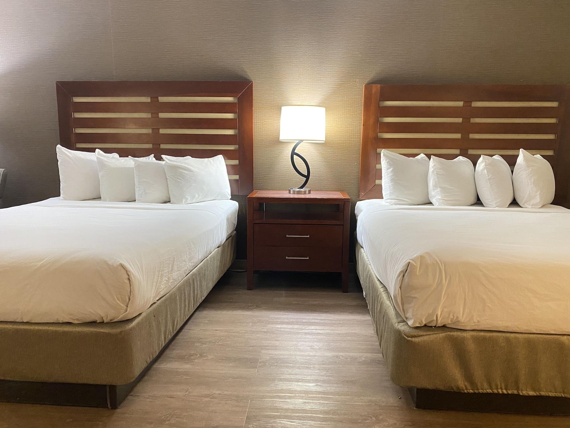 Wyndham Garden Grand Rapids Airport Hotell Eksteriør bilde